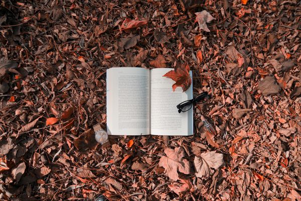 From Plot to Page: A Step-by-Step Guide to Writing Your First Novel